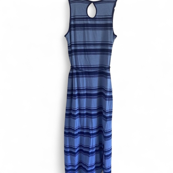 HORNY TOAD Blue Stripe Dress - Picture 2 of 7